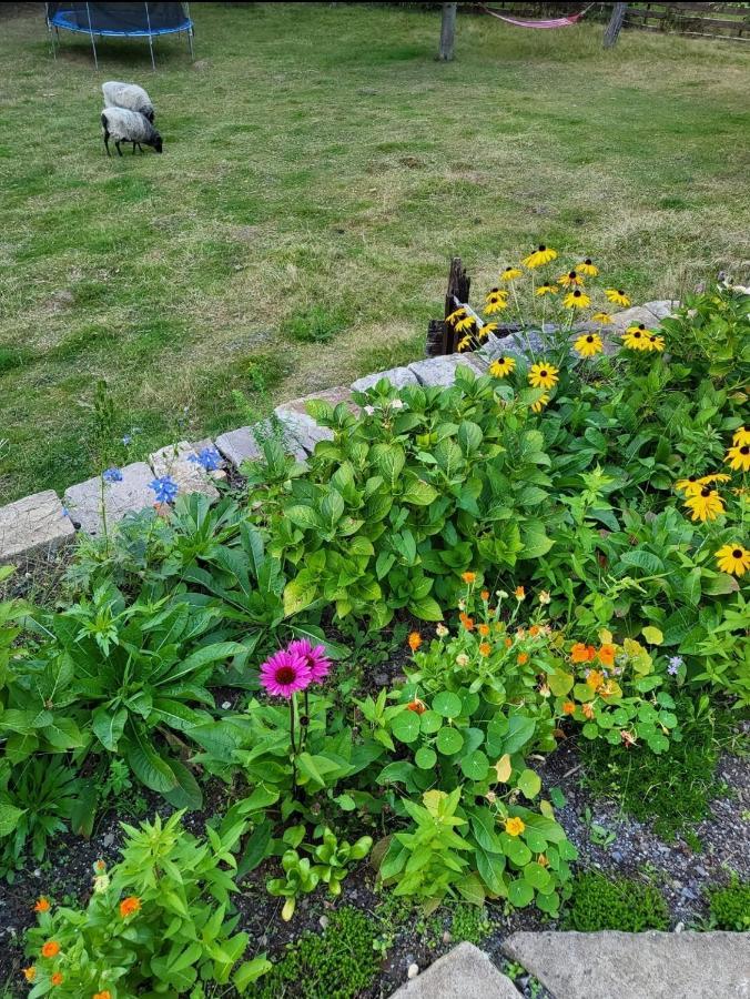 Souterrainwohnung Im Gruenen Witten Ngoại thất bức ảnh