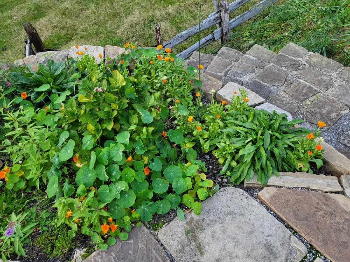 Souterrainwohnung Im Gruenen Witten Ngoại thất bức ảnh